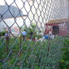 Gardeners prepare the garden