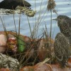 Animal life near the Gowanus Canal.