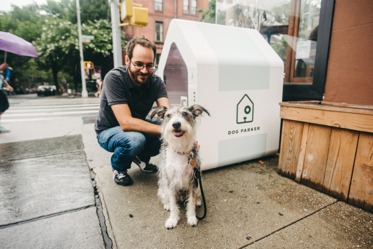 Coming to Brooklyn: Sidewalk Doghouses, For Rent